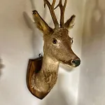 La Fonte Subbiano