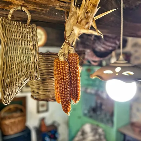 Σπίτι διακοπών La Fonte *